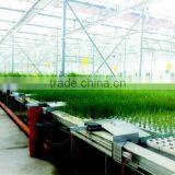 10-year Warranty UV Protection Greenhouses Structure With Hydroponic System thumbnail-1