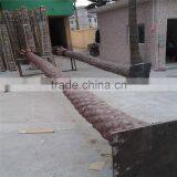 SJ2017200006 Hot Sale Outdoor Decorative Fake Washington Artificial Plastic Palm Tree uv Anti thumbnail-2