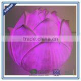 Color Changing Garden Lights With Remote Control for Outdoor thumbnail-1