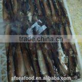 Squid Hook of Illex Squid thumbnail-1