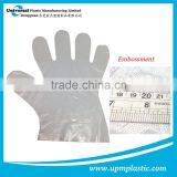Food Processing Household HDPE Gloves thumbnail-2
