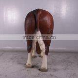 Hereford Bull thumbnail-4