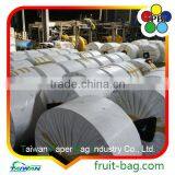 Taiwan Factory Customized Grape Bag Fruit Paper Bag thumbnail-4
