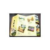 Brochure Printing thumbnail-3