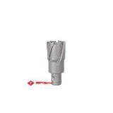 T.C.T. Annular Cutter With Fein Quick-in Shank thumbnail-1