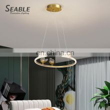 Professional Factory Iron Acrylic Decoration Modern Living Room Bedroom Indoor LED Pendant Lamp