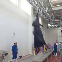 Specially Customized Bull Butcher Machine Blood Trough For Cow Slaughter House thumbnail-5