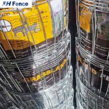 Maßgeschneiderter eiserner Außen-Metall-Sicherheitszaun für Bauernhöfe, Festverbindung, Feldzaun, Hochwertig, Landzaun, Feldzaun in Großmenge thumbnail-5