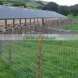 High Quality Hot Dipped Galvanized Animal Guard Fence