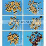 Macaroni /pasta/spaghetti Machine /pasta Macaroni Plant