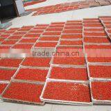 Chinese Ningxia Wolfberry ,organic Goji thumbnail-1