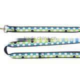 Ribbon dog leash