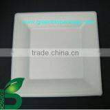 Biodegradable Eco-friendly Square Plate thumbnail-1
