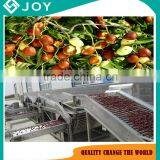 Dates Production Line