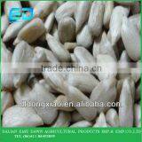 Chinese Sunflower Seed Kernel Inner Mongolia, Sunflower Kernel for Sale thumbnail-1