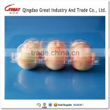 Food Grade Plastic Six Count Apple Container