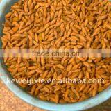 Olive Stoning Machine