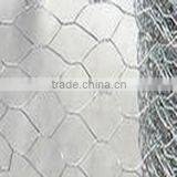 Hexagonal Iron Wire Netting