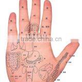 Conductive Silicon Hands Therapy Electrode thumbnail-3
