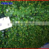 2013 China fence top 1 Chain link mesh hedge wire mesh landscaping fence