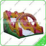 Amusement Park Equipment Giant Inflatable Water Slide