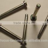 Cheese Head Special Rivet Hardware Fasteners