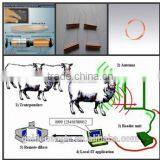 RFID Animal Identification Coil /electromagnetic Coil/Antenna RFID Coil