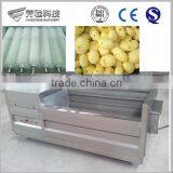 New Researched And Developed Sweet Potatoes Washing and Peeling Machine