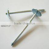 Eletro Galvanized Twisted Iron Roofing Nail With Umbrella Head thumbnail-1
