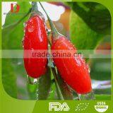 Lycium Barbarum Polysaccharides Goji Berry/red Wolfberry thumbnail-2
