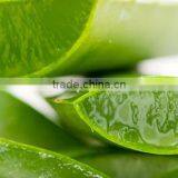 ALOE VERA IN SYRUP