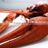 Frozen Crawfish Fish Seafood thumbnail-4