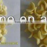 Haiyuan Twin Screw Extruder Food Snacks Machine thumbnail-6