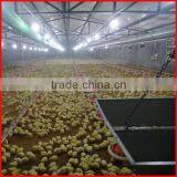 Automatic Chicken Feeding System for Chicken Farm thumbnail-2