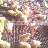 Plastic Flat Mesh, HDPE Plastic Mesh,Plastic Netting thumbnail-2