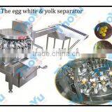 Good Quality Egg Knocking Machine 8000pcs/h on Bakery Exhibition +86-133-3371-9169 thumbnail-1