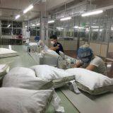 Hangzhou Paradise Import company overview - view 4 thumbnail