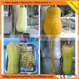Double Head Papaya/honeydew Peeler Peeling Machine thumbnail-6