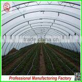Commercial Plastic Vegetable Greenhouse for Sale With Seedbed thumbnail-4
