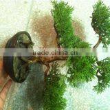 Home and Outdoor Garden Edging Christmas Decoration 60cm or 24inches Height Artificial Small Grass for Green Wall E04 1027 thumbnail-1