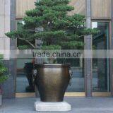 Large Fiberglass Planter thumbnail-3