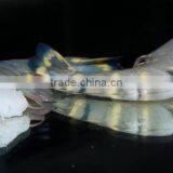Black Tiger Shrimps Headless Shell On ( HLSO ) thumbnail-1