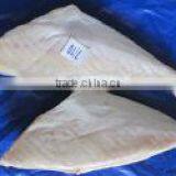 Leather Jacket Fish (HGT) thumbnail-1