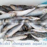 Sea W/R Frozen Sardines thumbnail-1