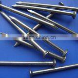 Common Round Wire Nail