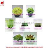 Varied Artificial Succulents Wholesale Artificial Mini Succulents Potted thumbnail-1