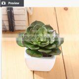 Cheap Artificial Succulents Plants Plastic Plants thumbnail-3