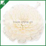 Fragrance Diffuser Use Sola Paper Flower/ White,Red,Green,Blue, Yellow