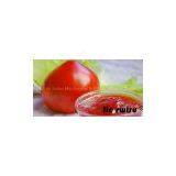 Tomato Paste Filling Machine thumbnail-2
