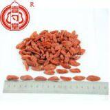Goji FruitNingxia Dried Goji Berry Dried Fruit thumbnail-1